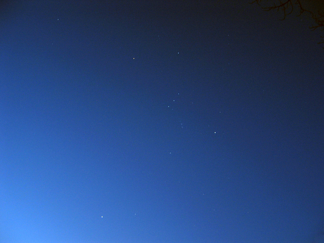 early-morning-orion